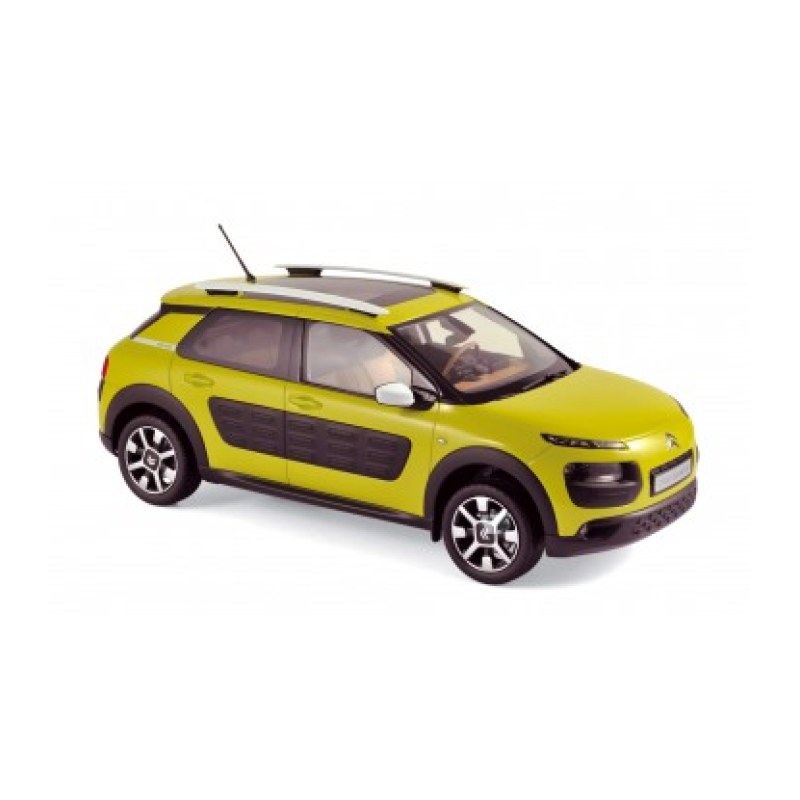 C4 Cactus 2014 1:18