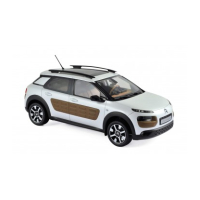 C4 Cactus 2014 1:18
