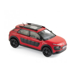 C4 Cactus 2014 1:43