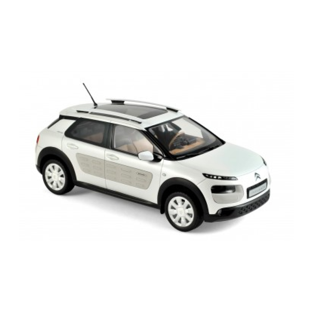 C4 Cactus 2016 1:18