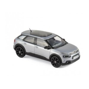 C4 Cactus 2018 1:43