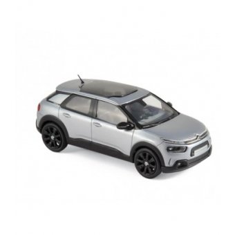 C4 Cactus 2018 1:43