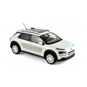 C4 Cactus 2016 1:18