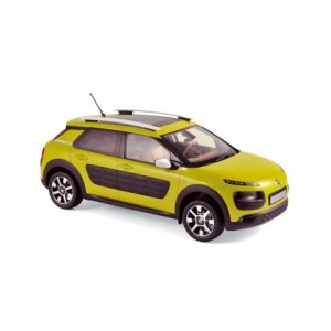 C4 Cactus 2014 1:18