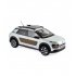 C4 Cactus 2014 1:18