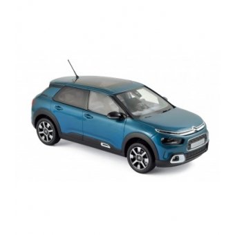 C4 Cactus 2018 1:18